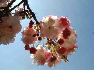 4-13@d@ʐ^